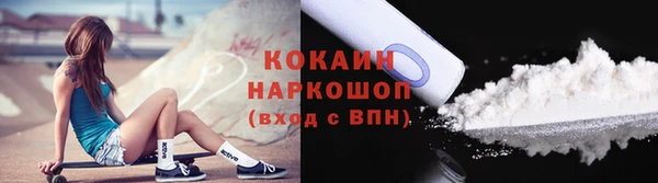 крисы Коряжма