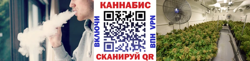 Бошки марихуана марихуана Дербент